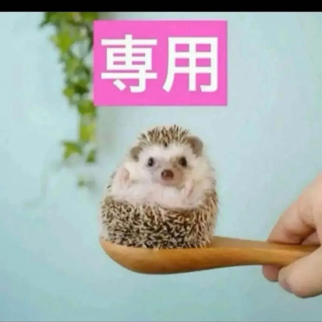 3点、ヒアル2点、ニュイ