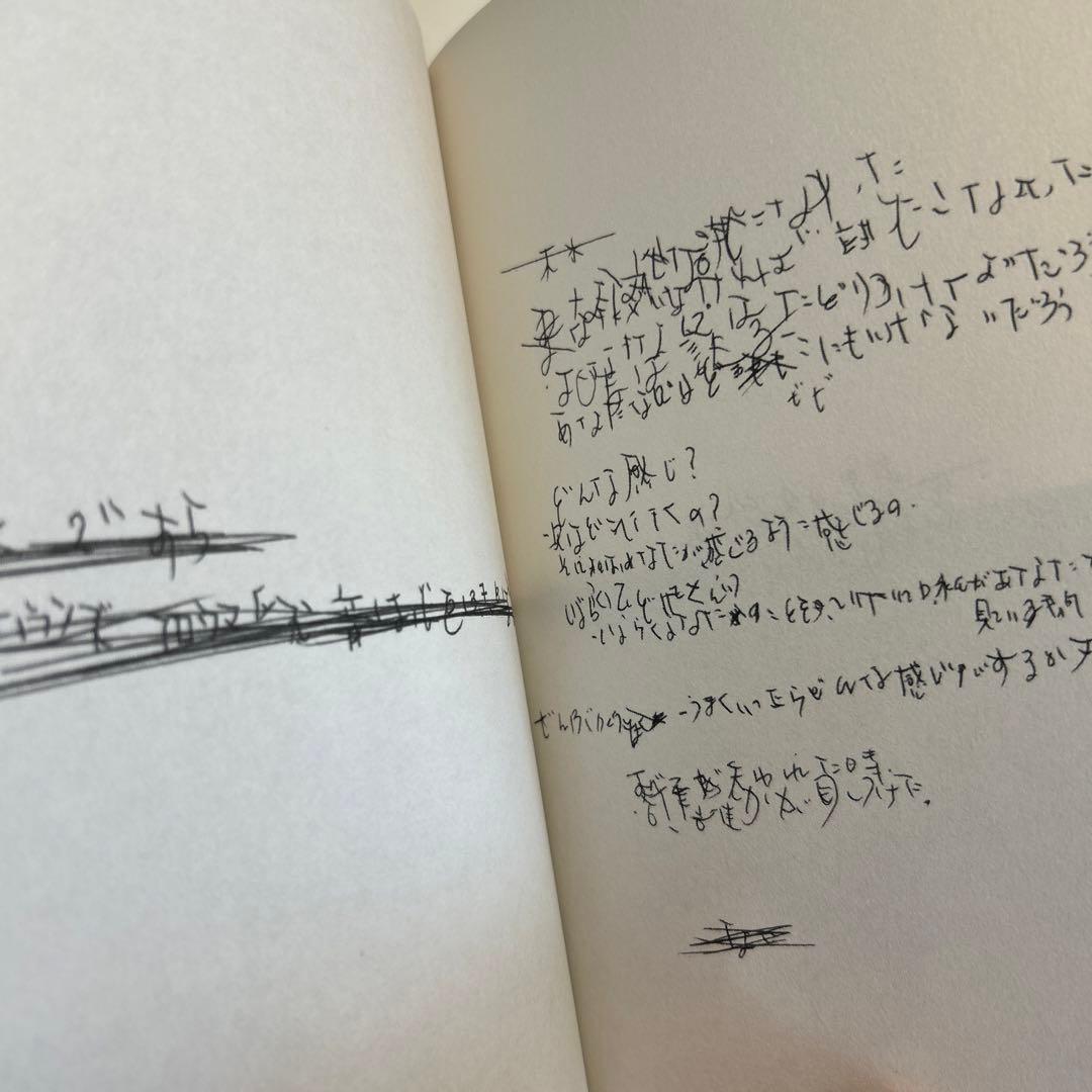 【洋書】Mark Borthwick