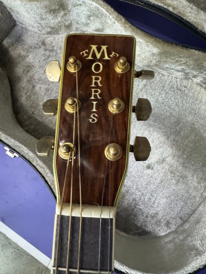 MORRIS TF-801 アコースティックギター