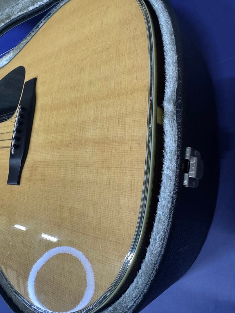 MORRIS TF-801 アコースティックギター