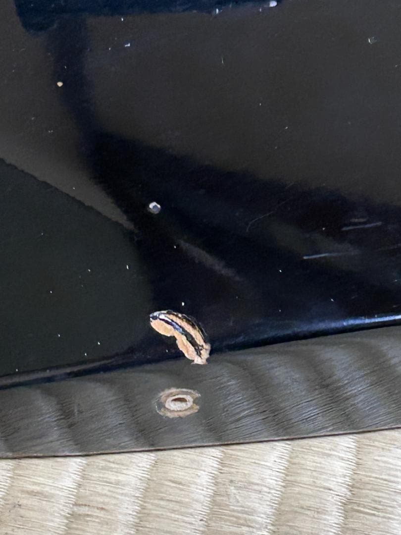 FERNANDES LIMITED　EDITION　 現状