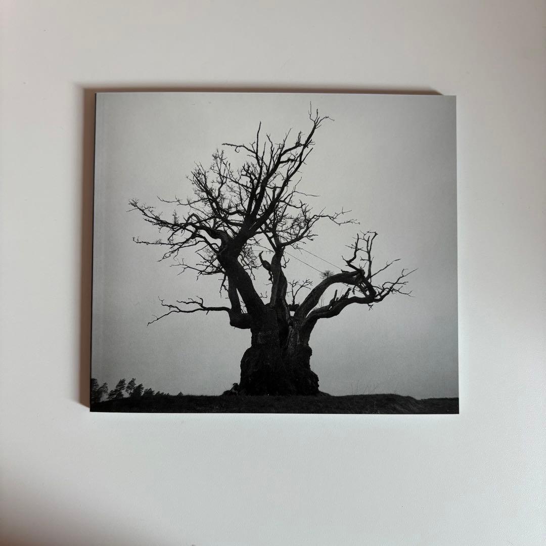 SEKAI NO OWARI 2010-2019 ベストアルバム