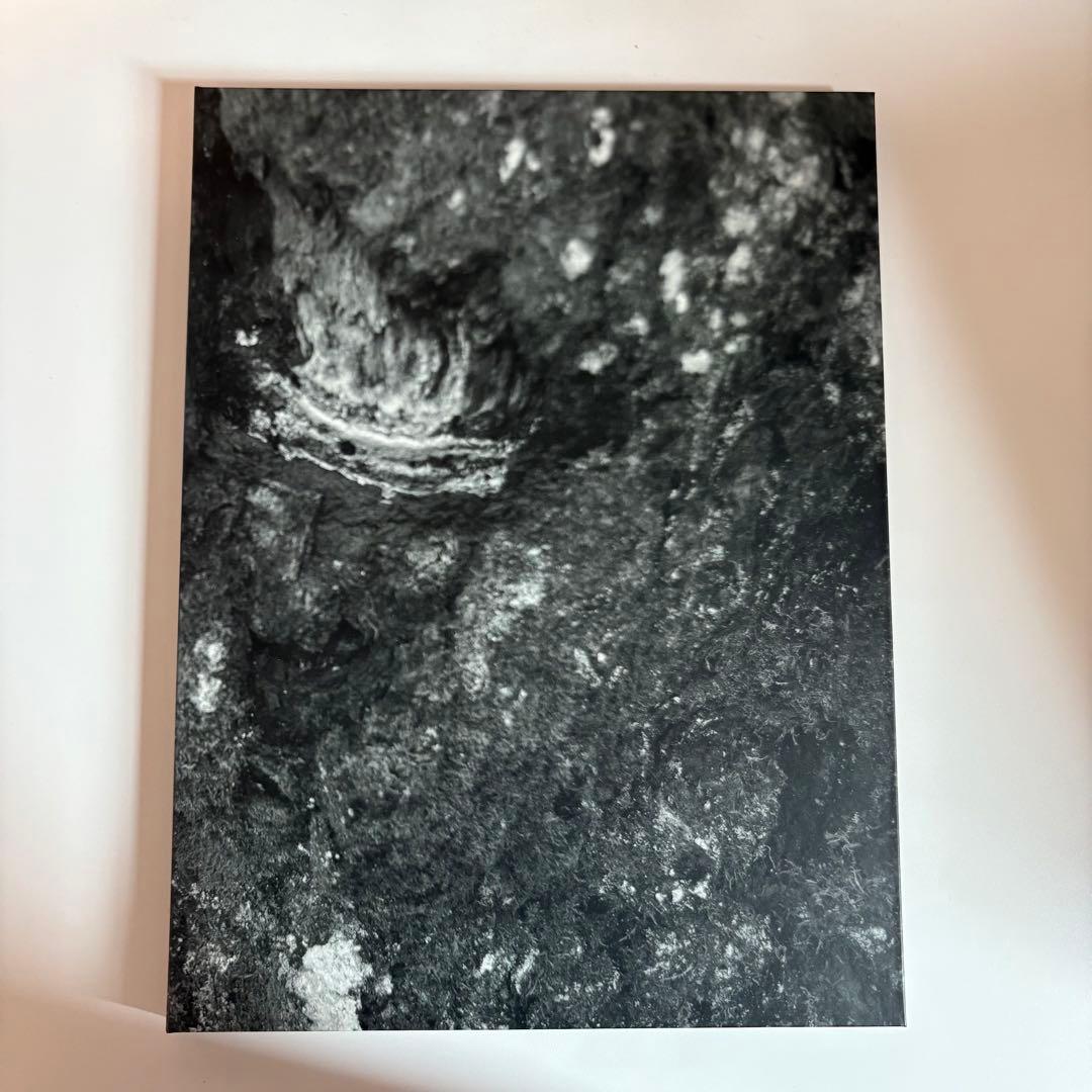 SEKAI NO OWARI 2010-2019 ベストアルバム