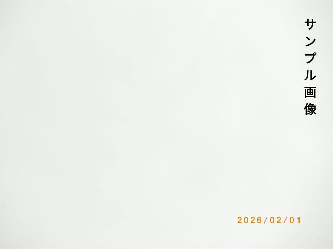 【作例掲載有】ペンタックス　Optio M50