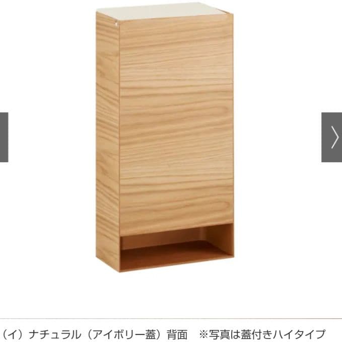 ゴミ箱 おしゃれ ディノス 美品 曲木の薄型ダストボックス 蓋付き ハイタイプ