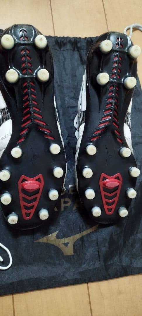 モレリアネオ 4 JAPAN 25.0cm