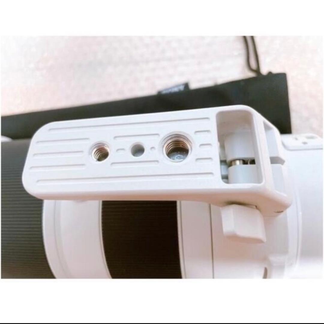 レンズ(ズーム) SONY FE 200-600mm F5.6-6.3