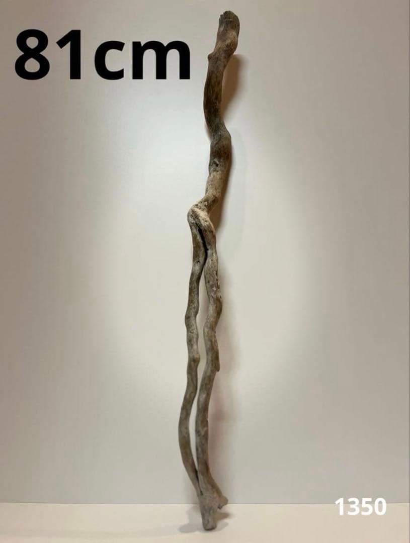 レイアウト用品 2519.1350.1502.2097.2115.2162.2355.2467