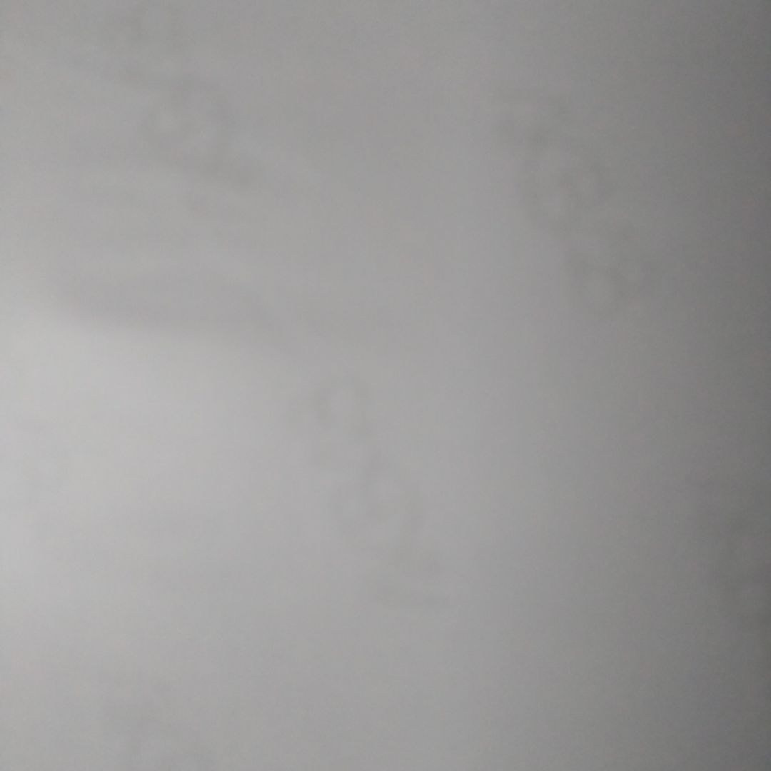 渡辺麻友 生写真 AKB48 真夏の単独コンサート DVD特典外付け生写真