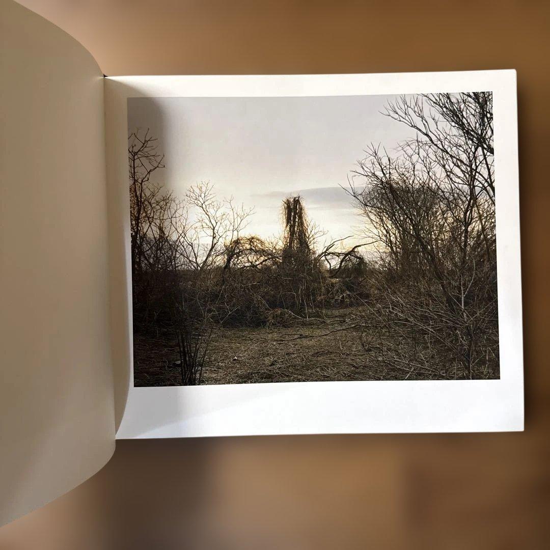 JOEL STERNFELD OXBOW ARCHIVE ジョエルスタンフィルド