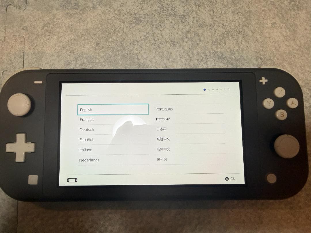 Nintendo Switch Lite グレー 本体 ACアダプタ