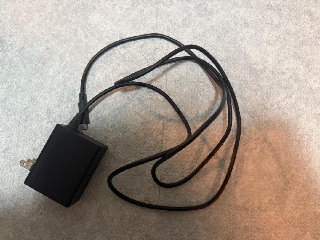 Nintendo Switch Lite グレー 本体 ACアダプタ