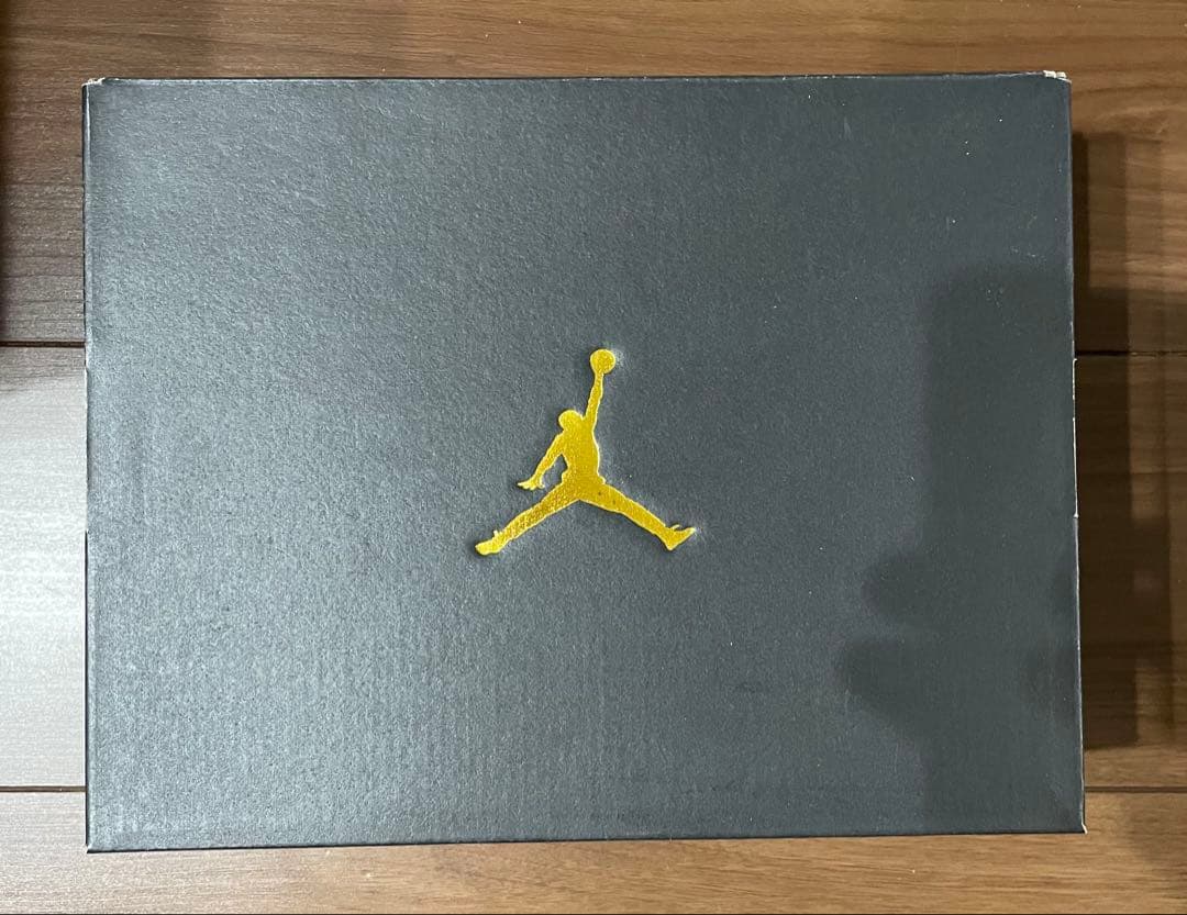 JORDAN 1 RETRO HIGH OG (PS) 『ルイージ』