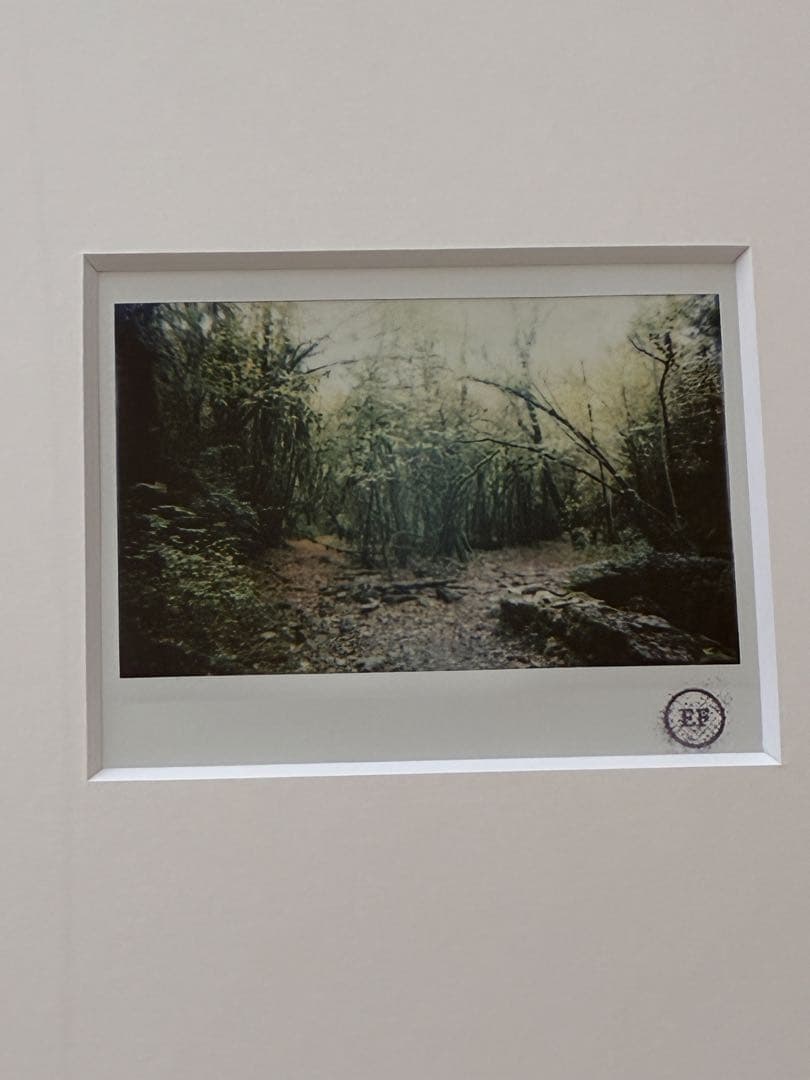 エレン・フライス　elein fleiss 本人撮影ポラロイド　額装済