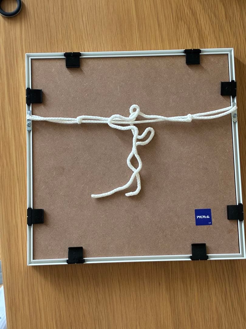 エレン・フライス　elein fleiss 本人撮影ポラロイド　額装済