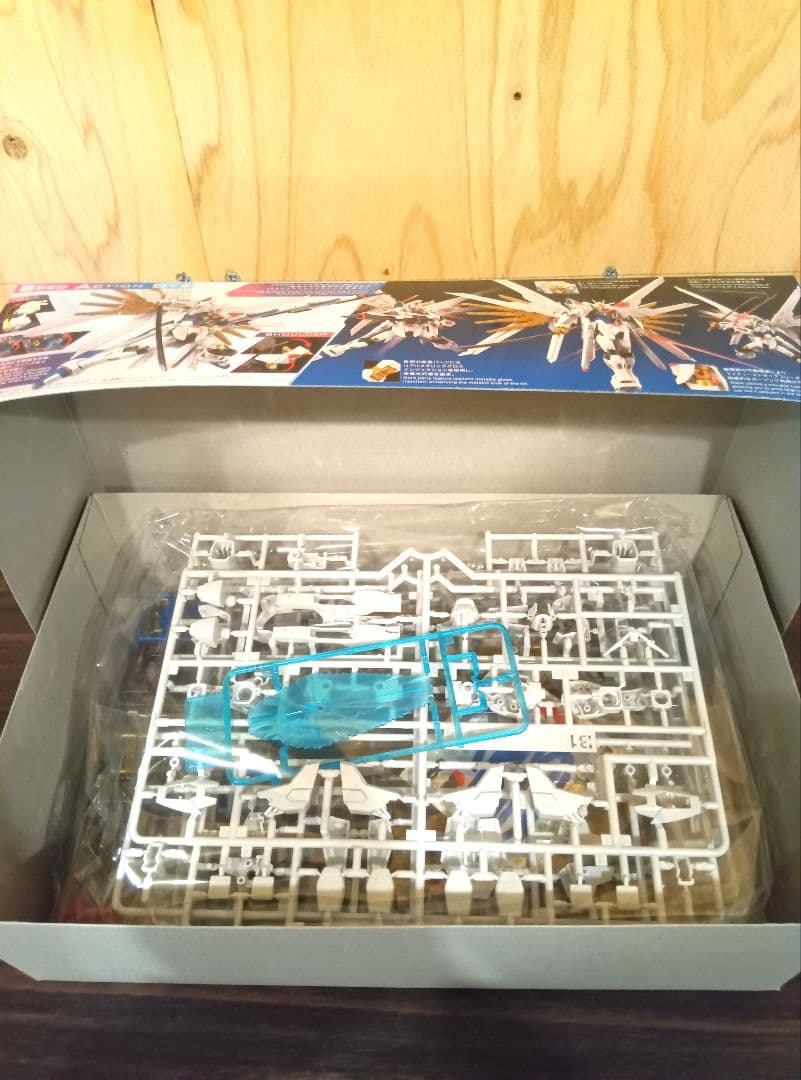 SEED FREEDOM HG マイティーストライク インフィニット カルラ