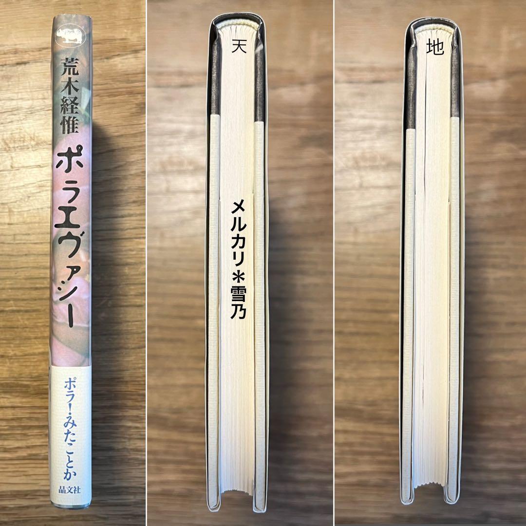 ポラエヴァシー 荒木経惟 晶文社【限定版・写真集】