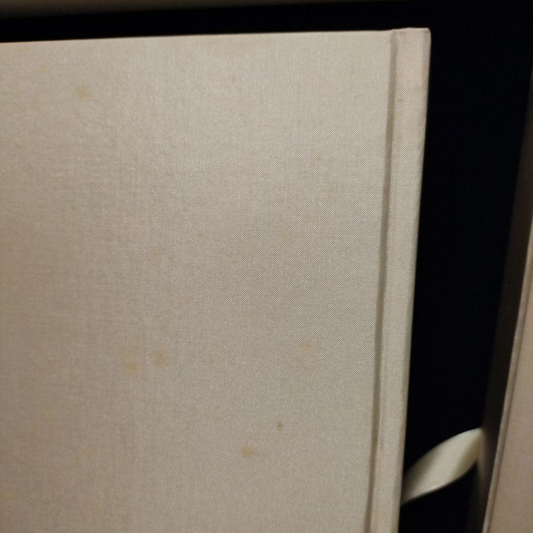 【特装版】松井冬子　画集