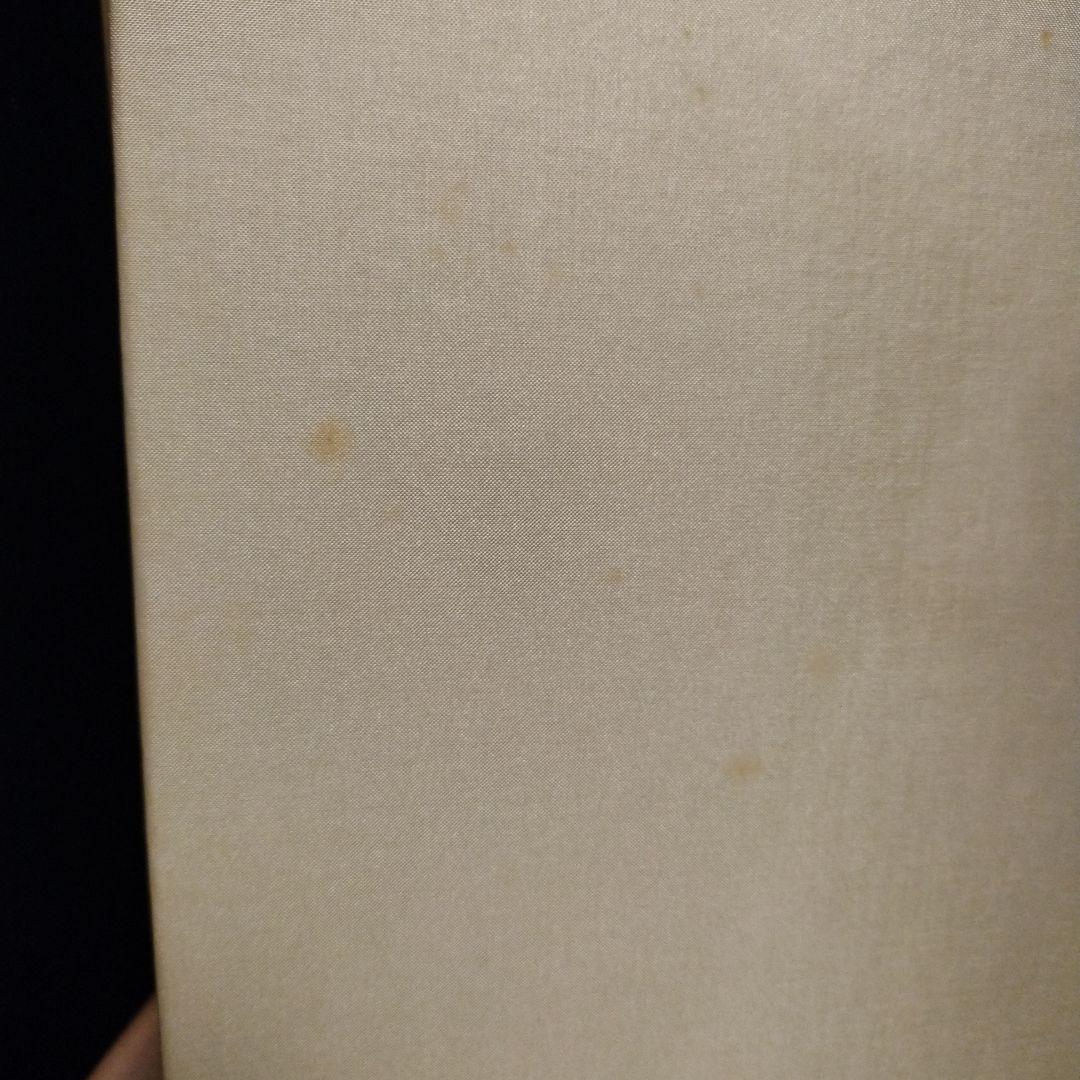 【特装版】松井冬子　画集