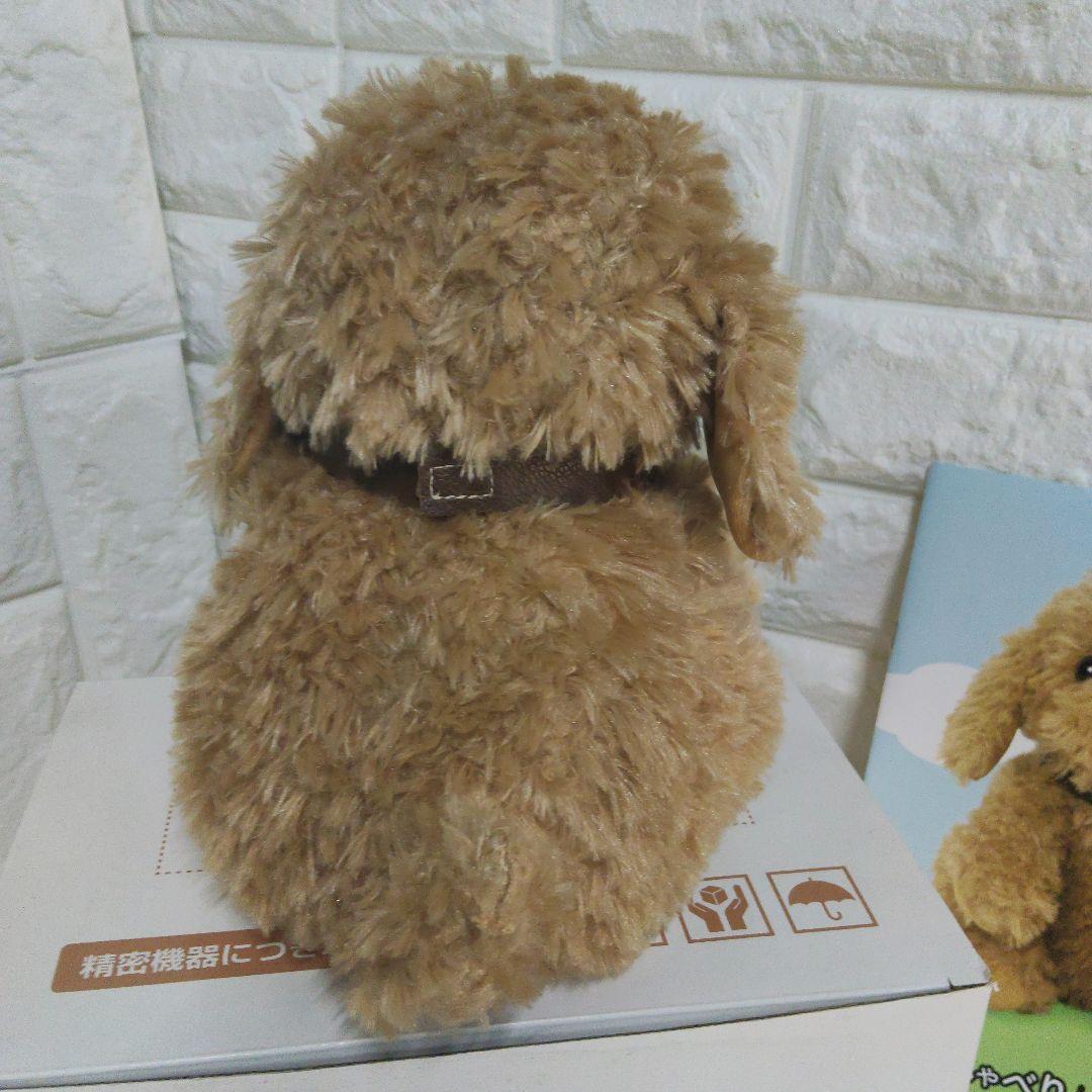 音声認識ぬいぐるみ おしゃべりトイプードル　ショップチャンネル