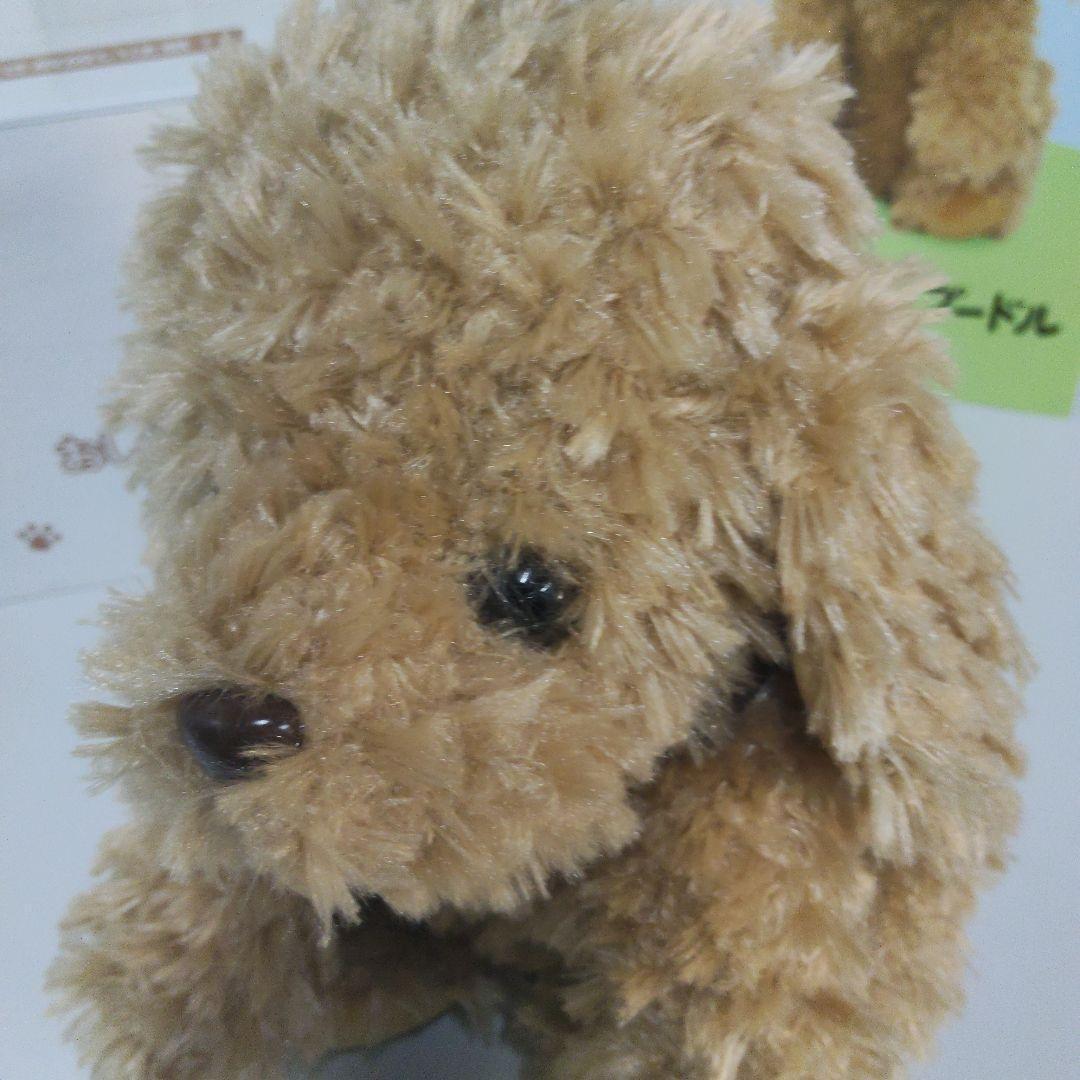 音声認識ぬいぐるみ おしゃべりトイプードル　ショップチャンネル