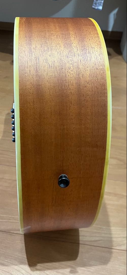 アヌエヌエ アコースティックギター M2