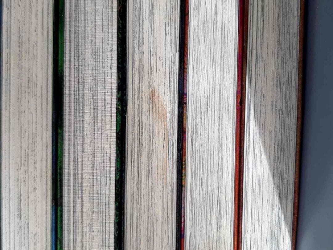 ドロヘドロ 林田球　1巻～19巻 19冊セット IKKI COMIX　 アニメ化