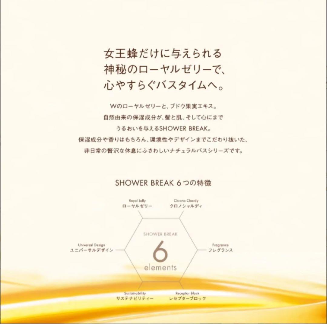 POLA シャワーブレイクシャンプー9Lコンディショナー 9Lセット