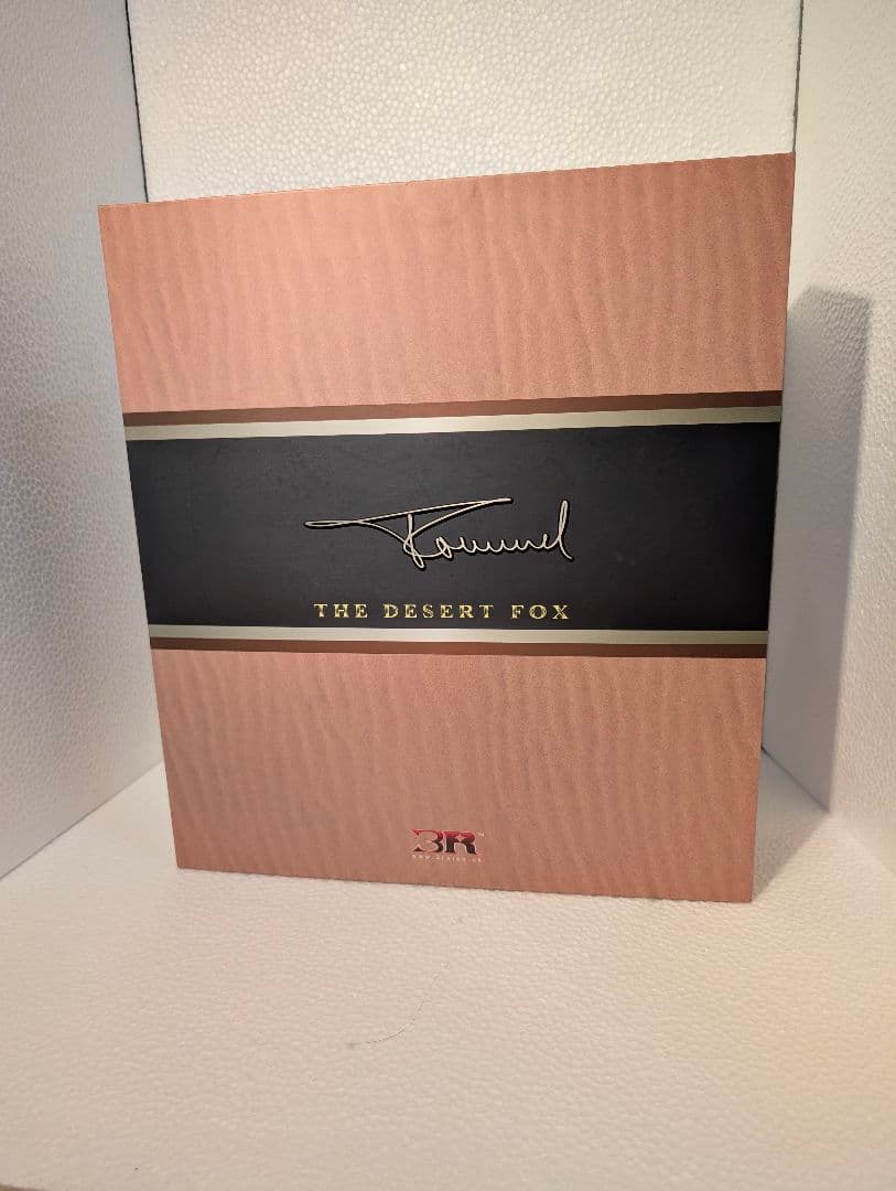 1/6 Desert　fox RONMEL