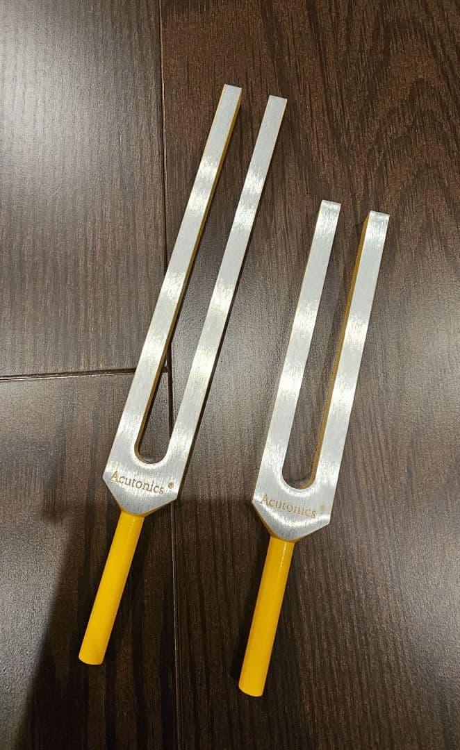 音叉 ヒーリング アキュトニクス