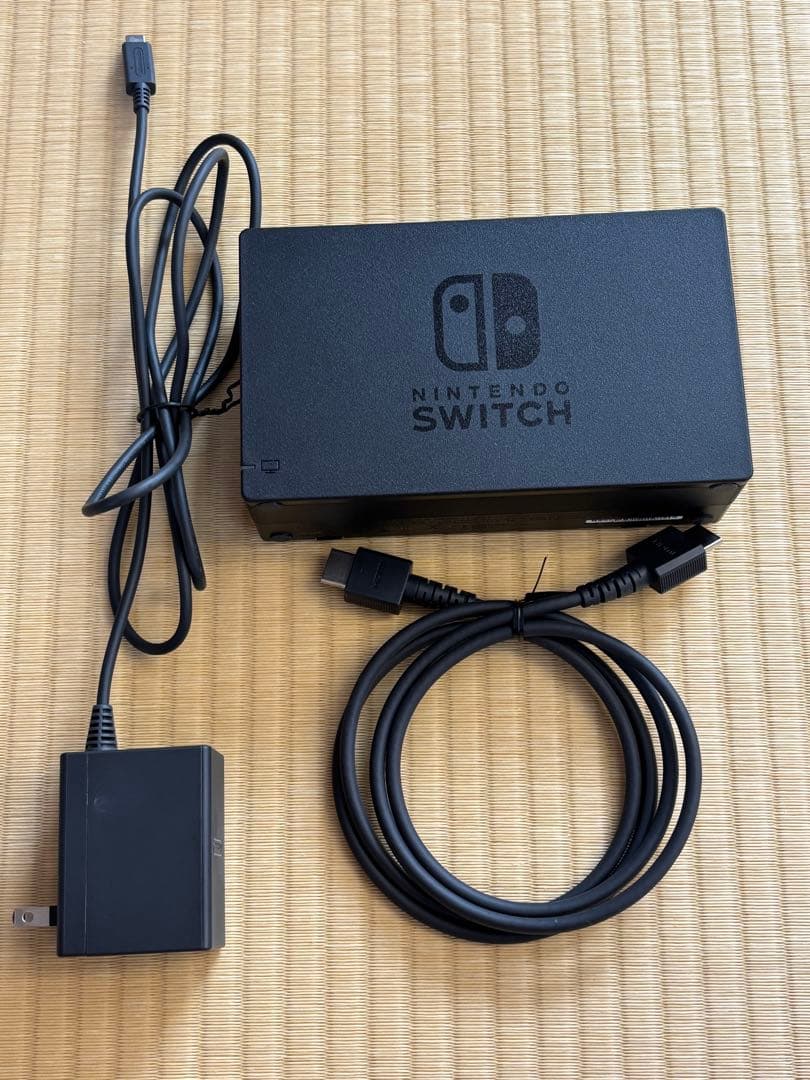⭐︎シロ⭐︎ Switch リングフィットアドベンチャー同梱版