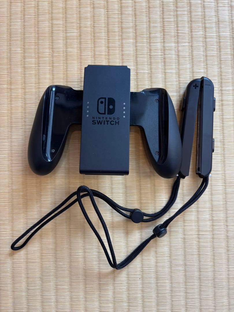 ⭐︎シロ⭐︎ Switch リングフィットアドベンチャー同梱版