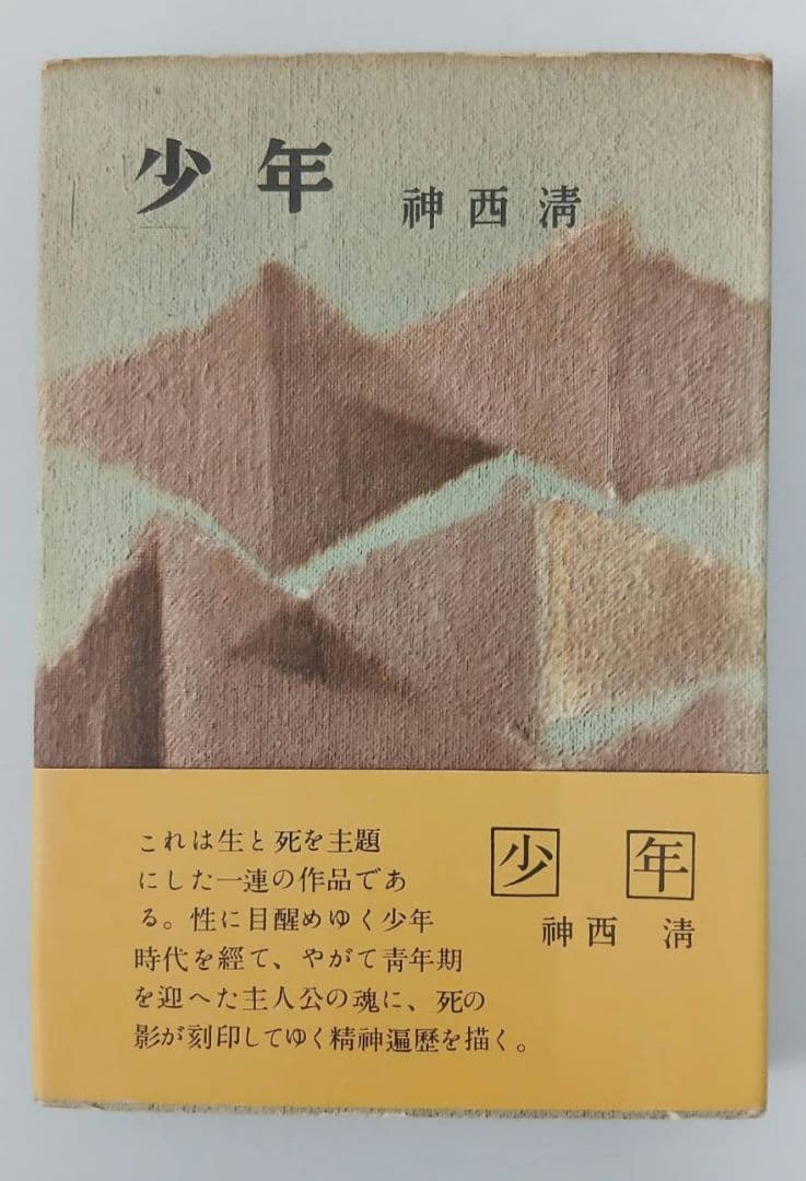 神西清 少年 昭和30年初版発行
