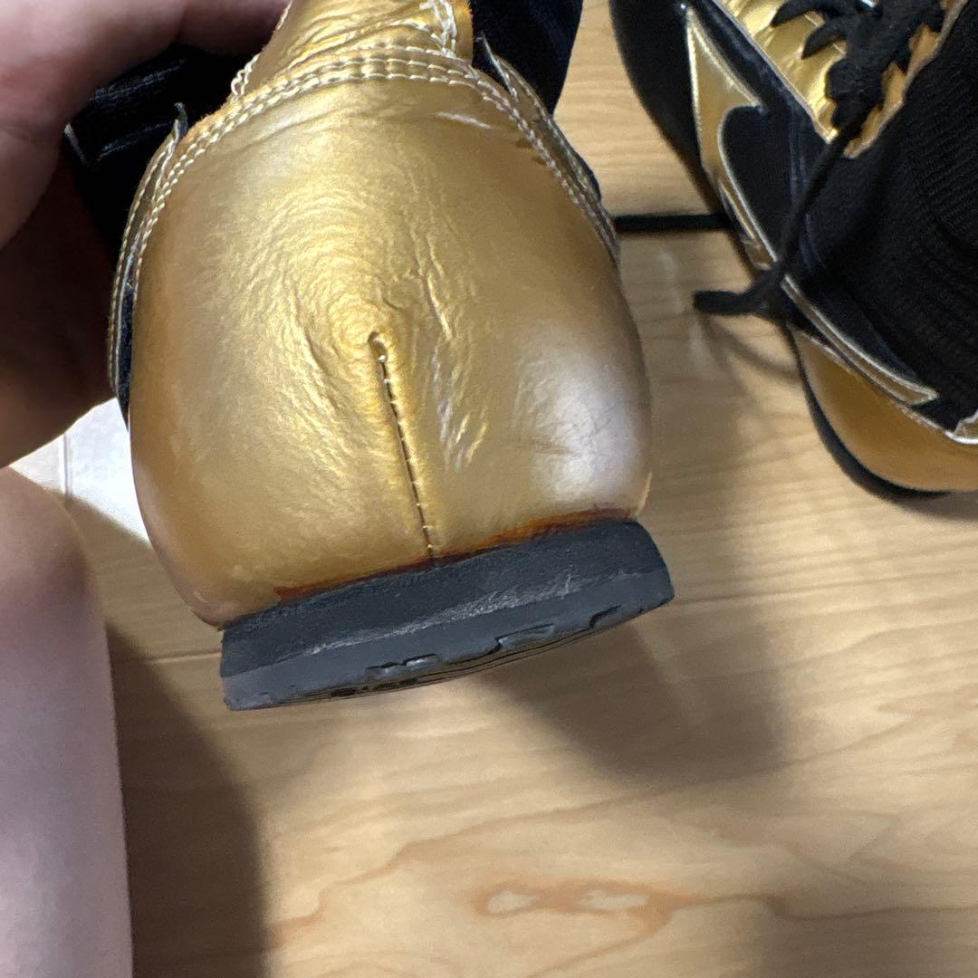 ボクシングシューズ ミズノ　27センチ