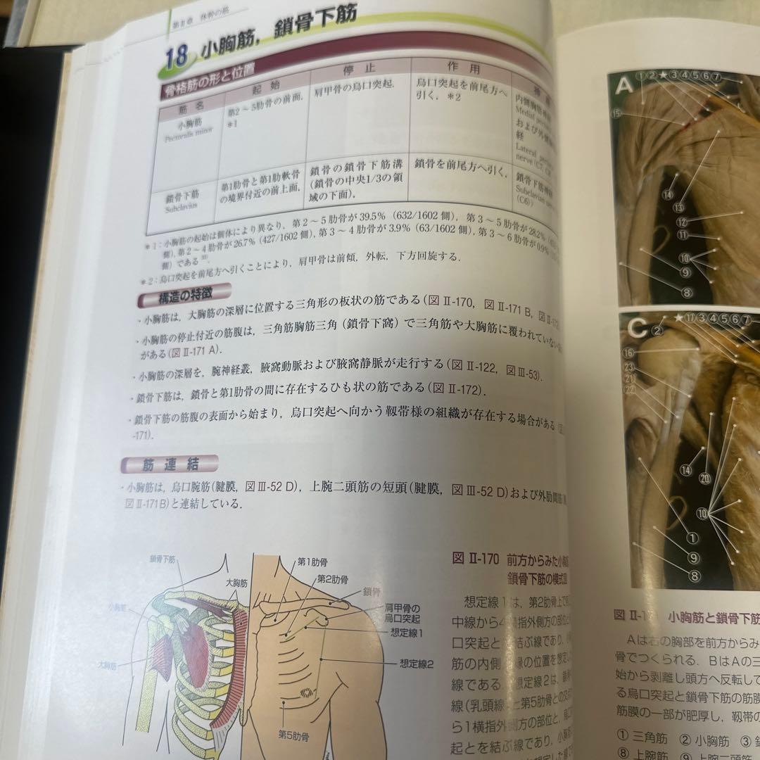 骨格筋の形と触診法 第2版