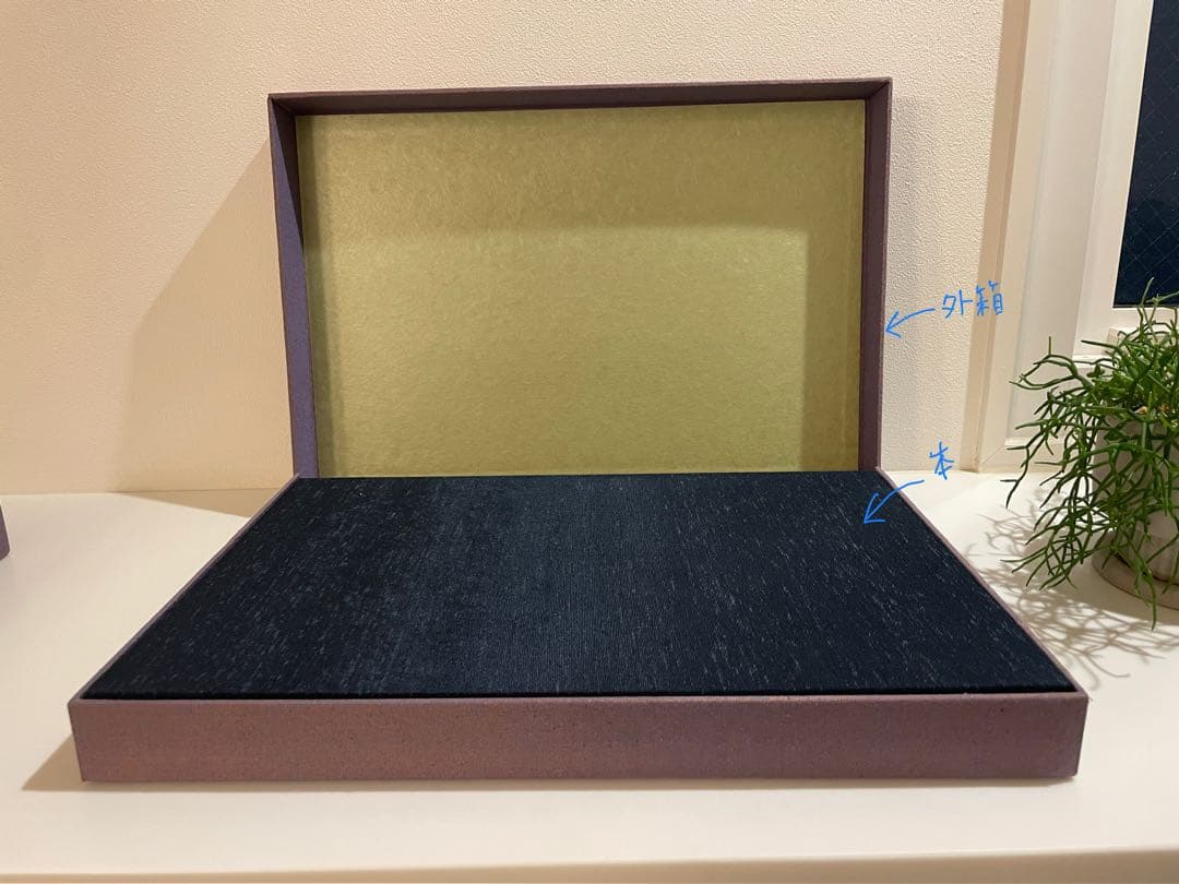 ◯ 田能村竹田◯ 「竹田名蹟大図誌」上・下巻 決定版