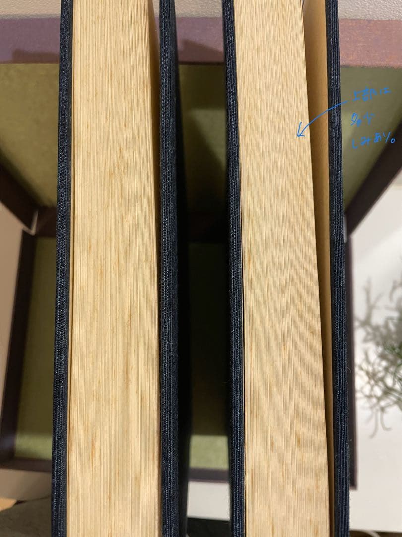 ◯ 田能村竹田◯ 「竹田名蹟大図誌」上・下巻 決定版