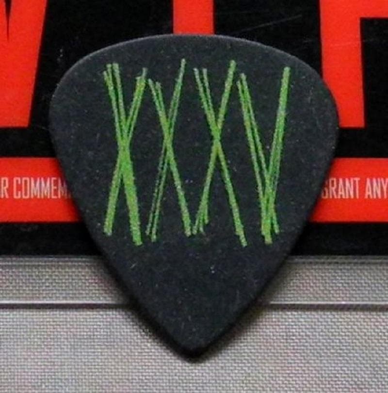 ONE OK ROCK ワンオクロック TORU VIPパス ギターピック