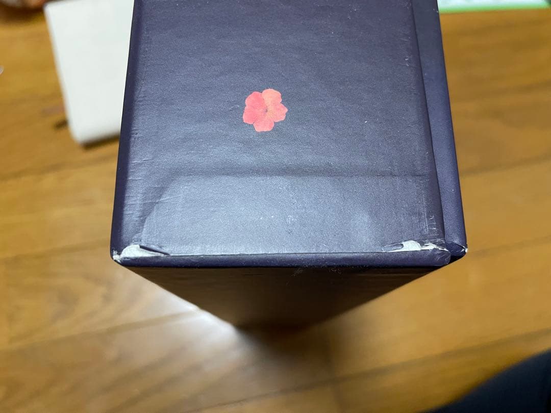 韓国ドラマ 偶然に見つけたハル 監督版 ブルーレイ SF9 ロウン 主演