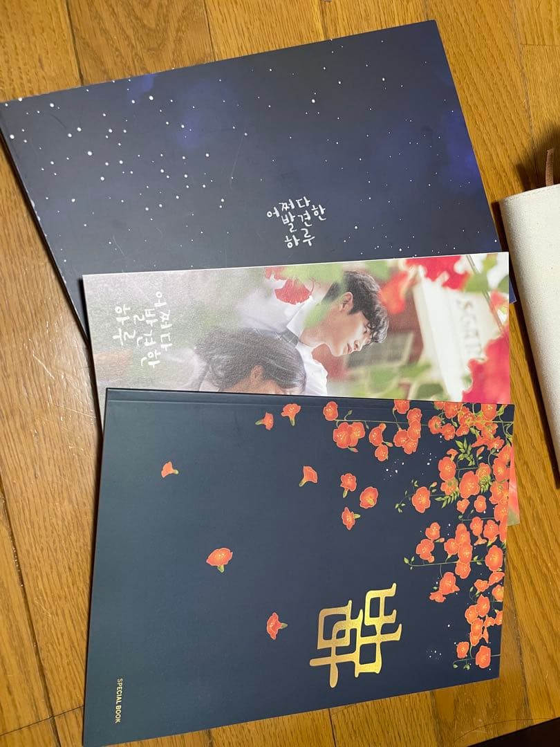 韓国ドラマ 偶然に見つけたハル 監督版 ブルーレイ SF9 ロウン 主演