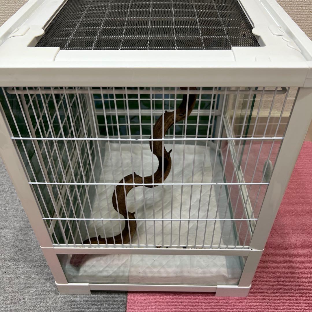 ♡sniper様♡専用♡