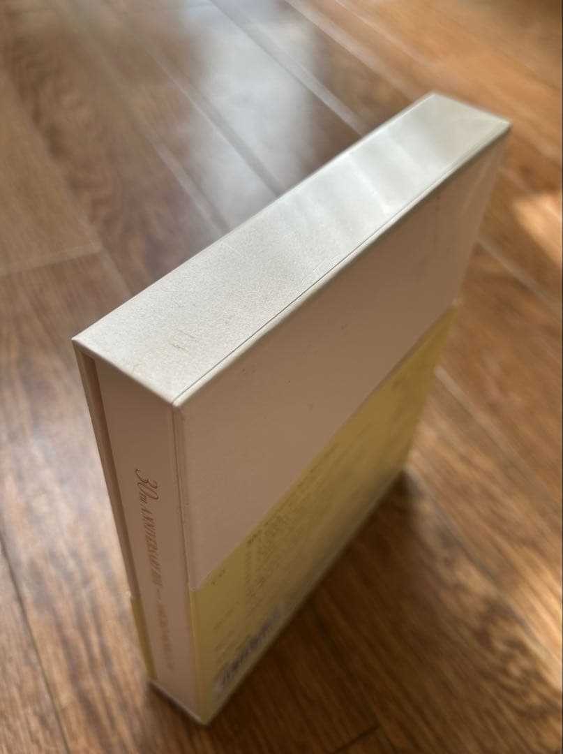 【貴重】森口博子 I wish ～君がいるこの街で～ 初回限定盤