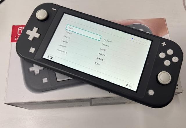 【動作確認済】Nintendo Switch Lite グレー