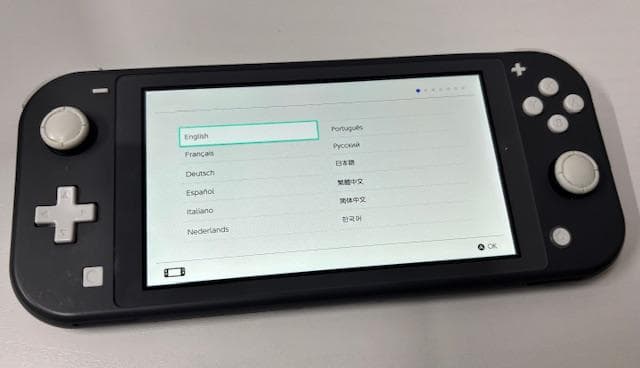 【動作確認済】Nintendo Switch Lite グレー
