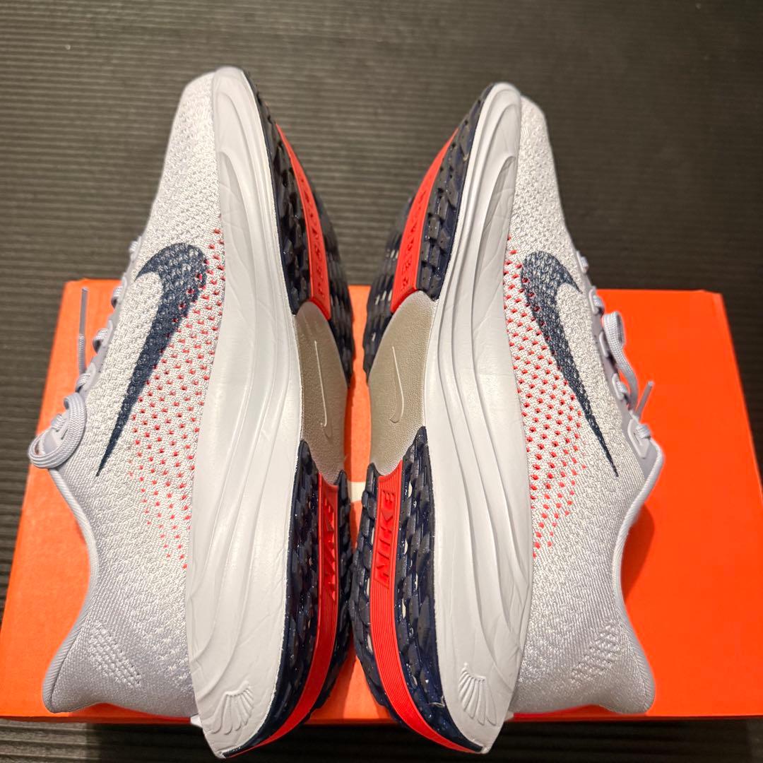 ペガサスプラス 26.0cm