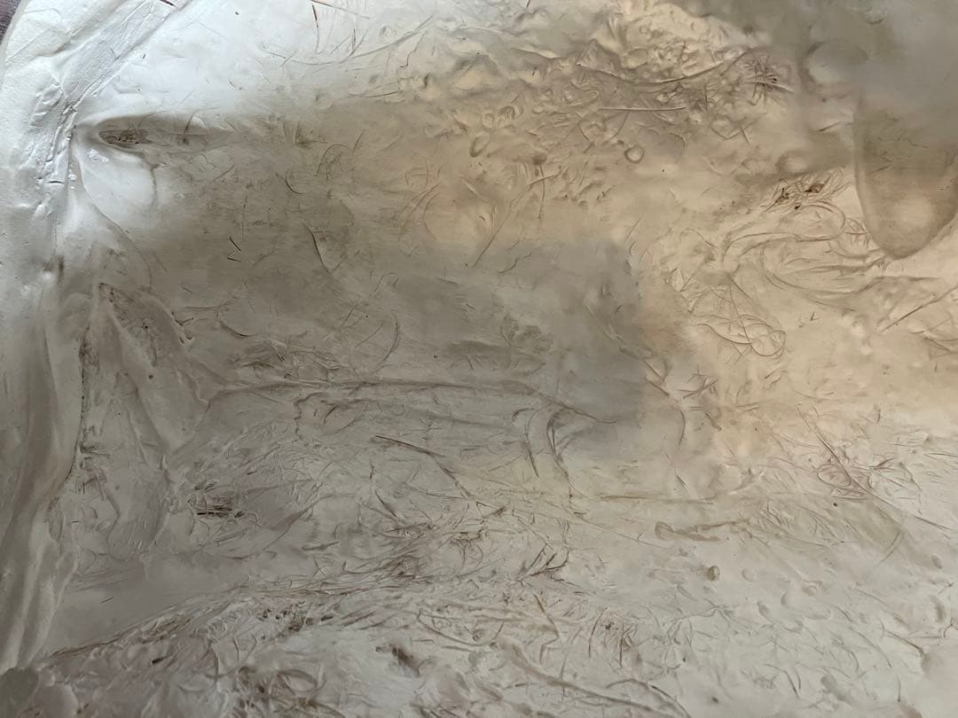 石膏像　モーゼ大顔面　基礎デッサン美大受験