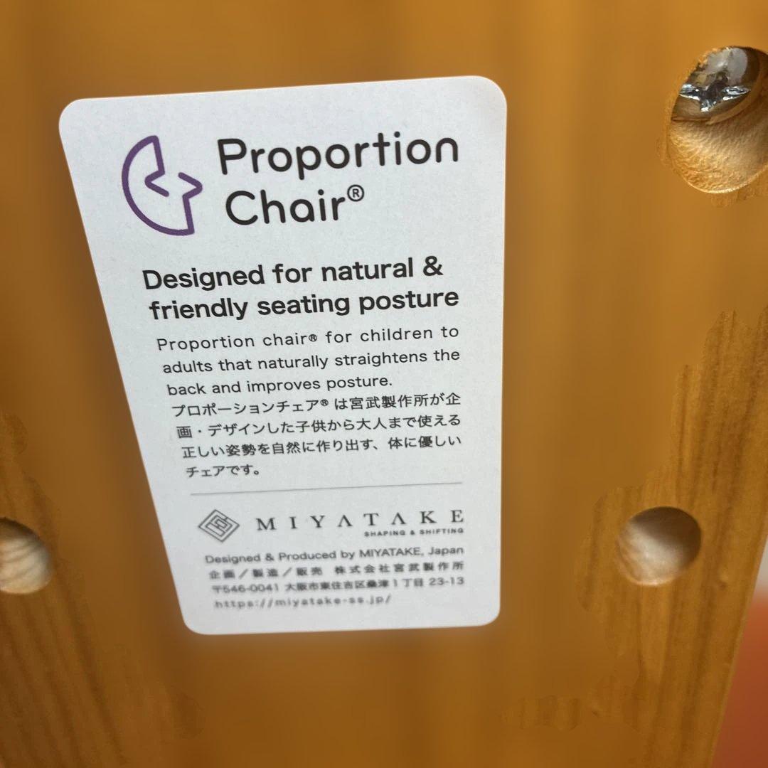 宮武製作所 プロポーションチェア 補助クッション付 オレンジ バランスチェア