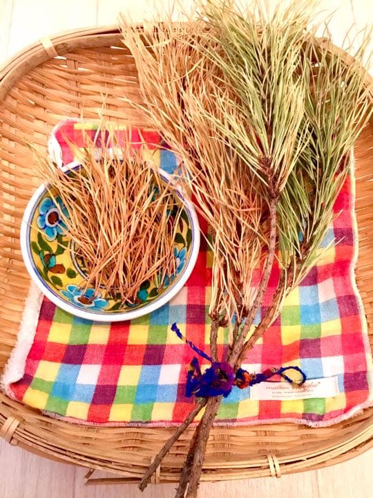 【縁起物/希少種】三鈷松入浴剤/松風呂/新年のお祝いに縁起の善い三鈷松風呂/1袋