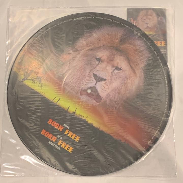 ブライアン メイ　限定ピクチャーディスク　クイーン　Queen