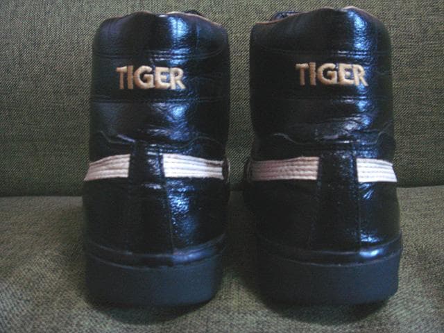 アシックス ポイントゲッター L 黒 26.5cm asics ptg